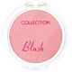 Collection Powder Blush -BASHFU